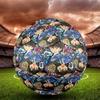 Detective Conan Print Size 5 Soccer Ball, Standard Match Football for Sports Game and Team Practice, Ideal Gift for Soccer Fans