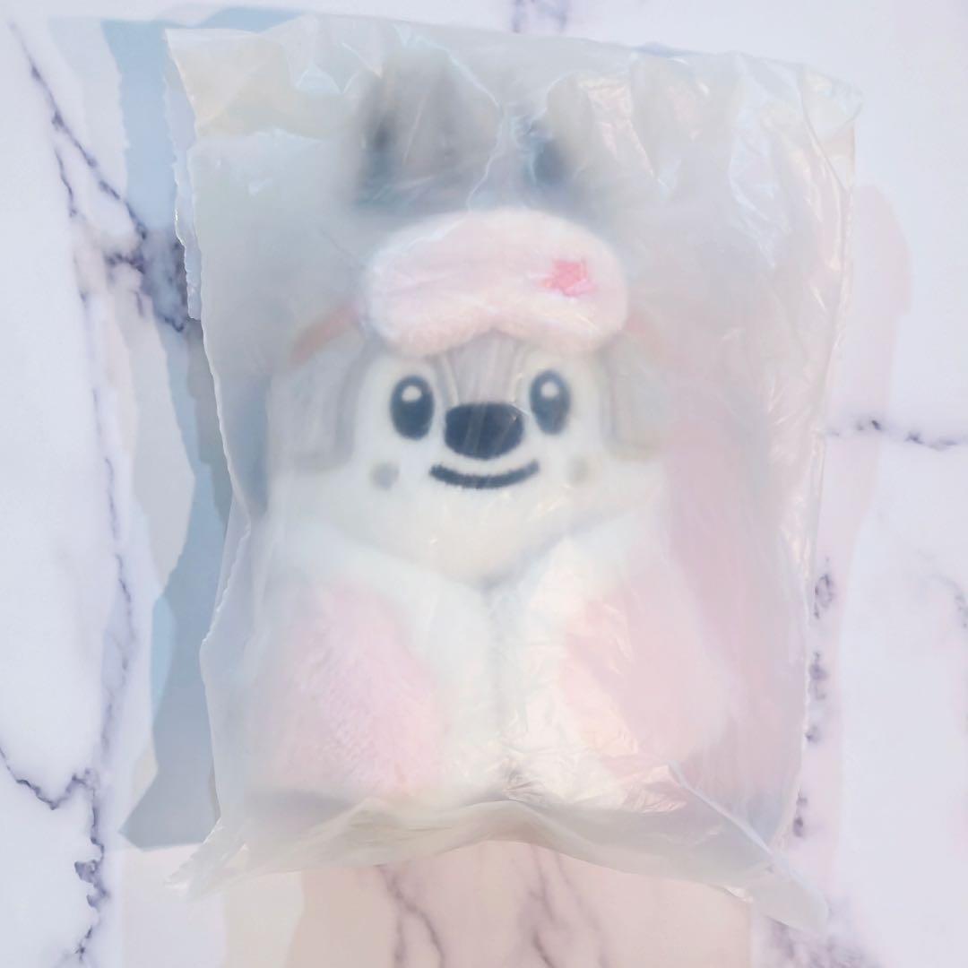 

[USED] Stray Kids Korea 6th Fan Meeting SKZOO Plush Toy 10cm Bang Chan