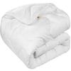 Anti-allergic All-year-round Duvet + 2 Pillows 70x80