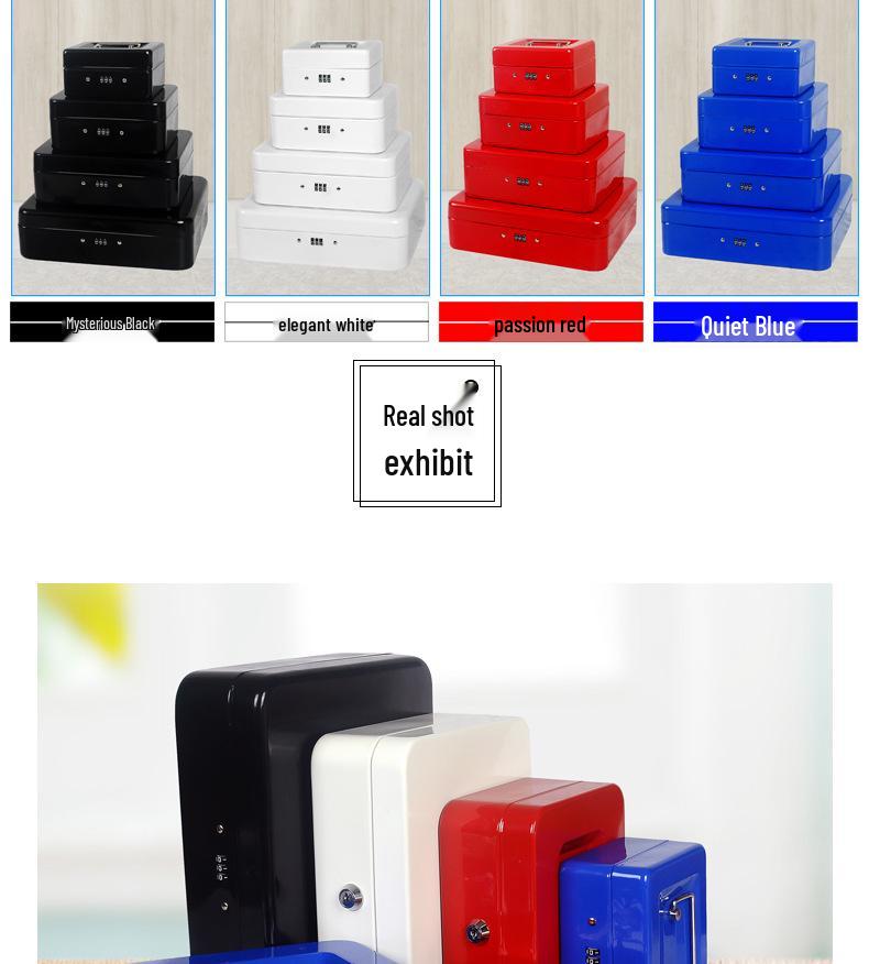 Portable Thickened Metal Cash Box with Lock and Password, Secure Storage Organizer