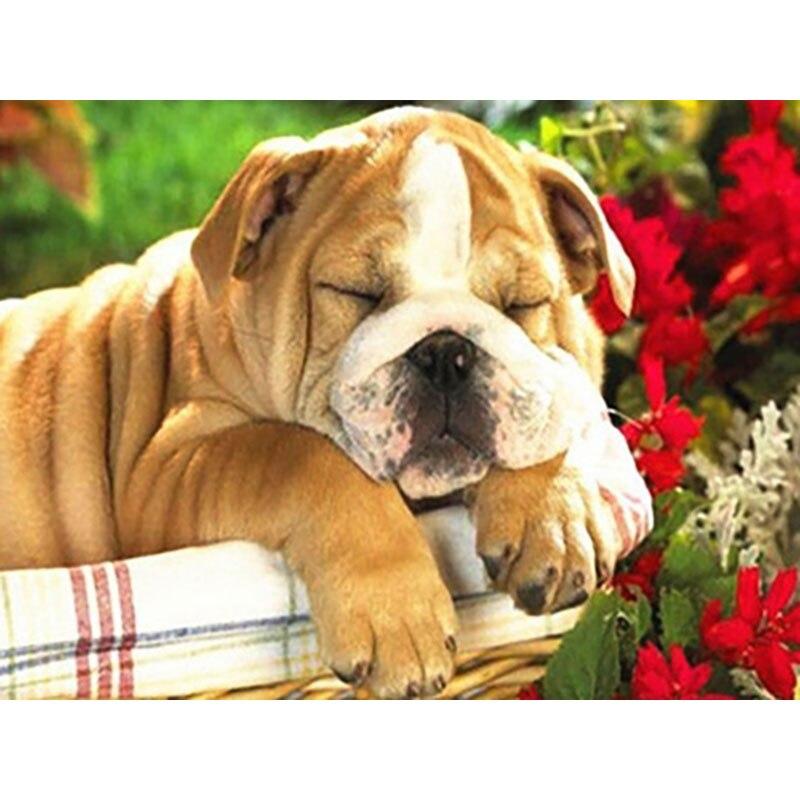 New 5D DIY Diamond Painting Dog Flower Diamond Embroidery Animal Cross Stitch Full Round Drill Home Decor Manual Art Gift
