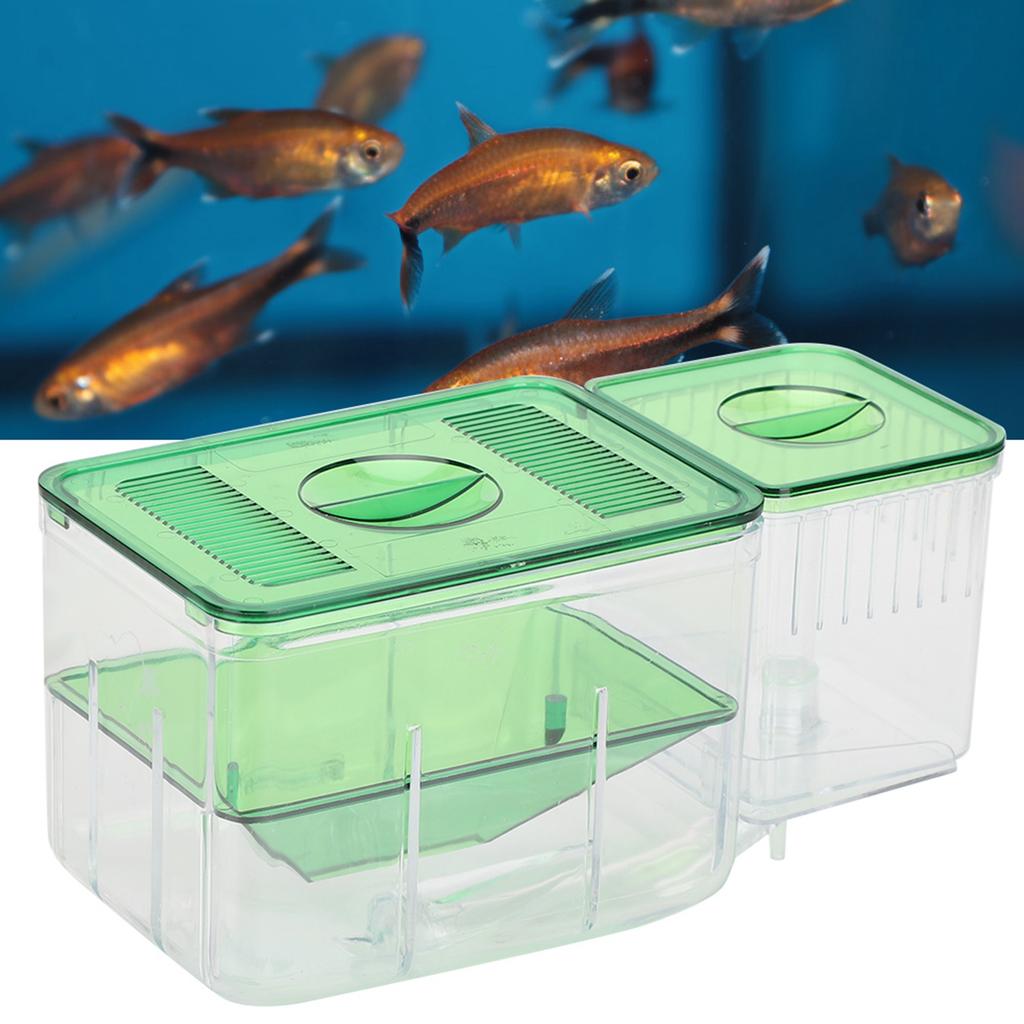 Aquarium Fish Tanks Breeding Box Little Fish Double‑Layer Isolation Incubator for Injured Small Fish Shrimp