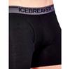 Icebreaker трусы-боксёры Anatomica Fly