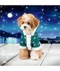 Pet Christmas Clothes Winter Plush And Thick Classic Christmas Snowflakes Dog  Plush Jumpsuit Hooded