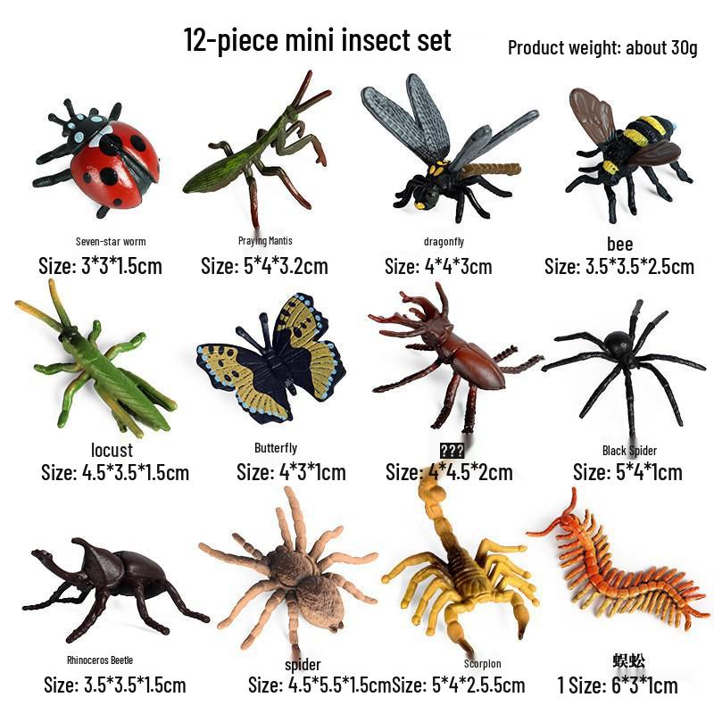 Marine Animal Models: Tuna, Triggerfish, Dolphin, Moray Eel, Squid, Whale Shark, Hammerhead Shark, Sea Turtle, Swordfish