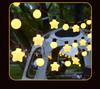 Outdoor Starry Globe Solar Lights for Tents, Markets, and Courtyards