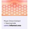 ISNTREE Onion Newpair Spot Patch Skin Fit