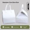 WS Insulated Cake Delivery Bags (20 Pcs)