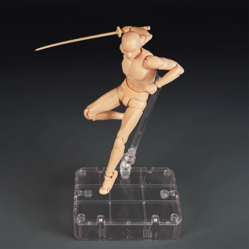 AAGWW Sketch with Model Muscular Doll Painting Doll Display 1 Male Doll 1 Female Doll, Articulated, Stand, Poseable, Doll, Body, Model, Tool, (Product