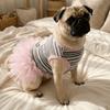 Süßer Stil Welpen Prinzessinnenkleid Spitze Rock Haustier T-Shirt Mode Haustier Spitze Rock Hochzeitsparty