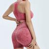 2 Pcs/Set Women Sports Suit Push-up Sleeveless Vest with Chest Pads Seamless Quick-drying High Waist Shorts Sportwear Yoga Fitness