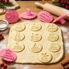 Holiday Dessert Molds 11Pcs Christmas Cookie Cutter Set, Gingerbread Man Press Mold with Easy Dough for Cookies Greetings, Plastic Fondant Biscuit