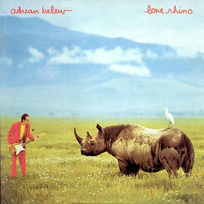 

LP Record ADRIAN BELEW Lone Rhino ILPS9675 Island Records 1982 UK Rock Used