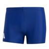 Mens Solid Swimming Boxer Shorts