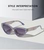 Cat Eye Sunglasses 2315: Trendy European & American Street Style