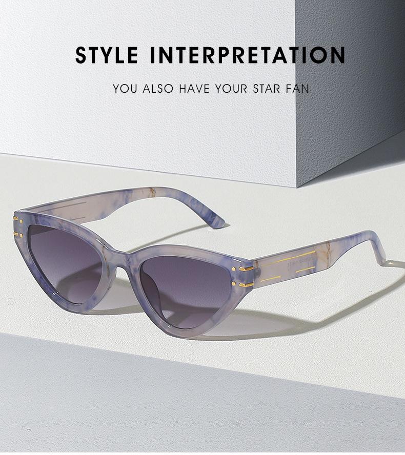 Cat Eye Sunglasses 2315: Trendy European & American Street Style