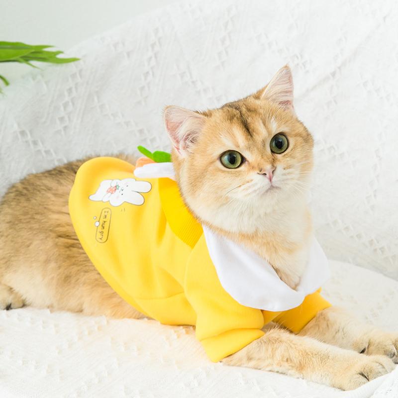 Cat Clothes Autumn and Winter Warm Two-legged Sweatshirt Anti-fall Hair Muppet Satchel Small Dogs Dog Pet Clothing