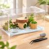 Salticid Feeding and Shelter Collection with Clear Dish, Side-Entry Retreat, Hanging Screen Sheet, Dropper, Tweezers, and Green Detail