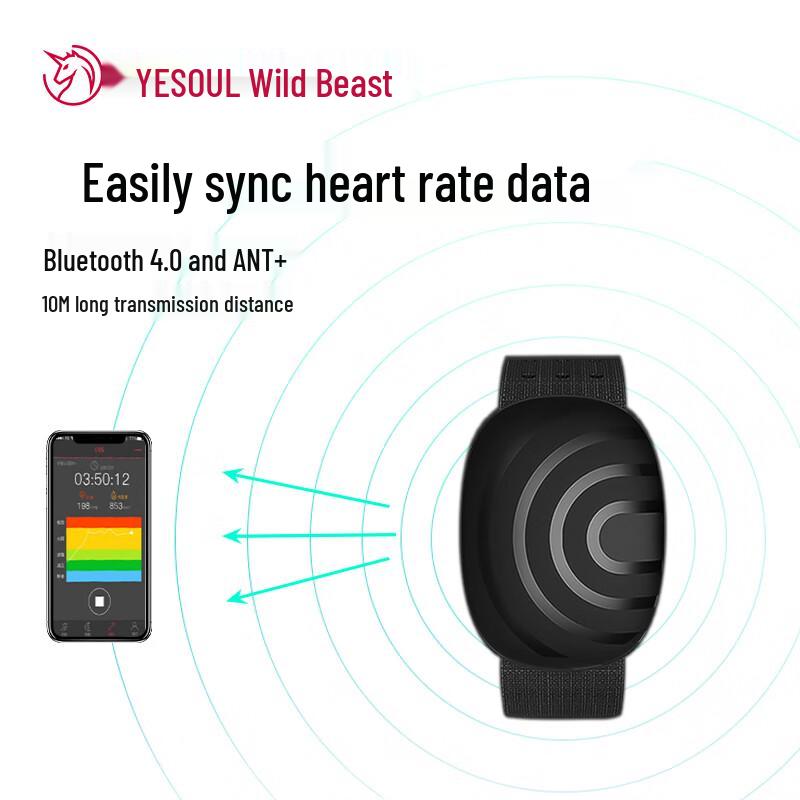 Brățară inteligentă YESOUL pentru monitorizarea ritmului cardiac (Versiunea CN)