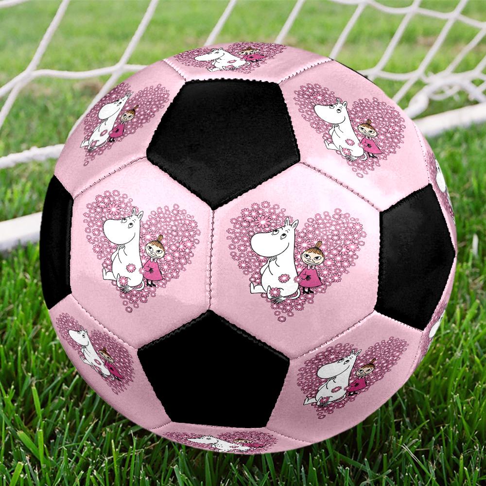 Moomin Theme Size 5 Soccer Ball, Suitable for Both Indoor and Outdoor Matches, a Gift Suitable for Everyone.