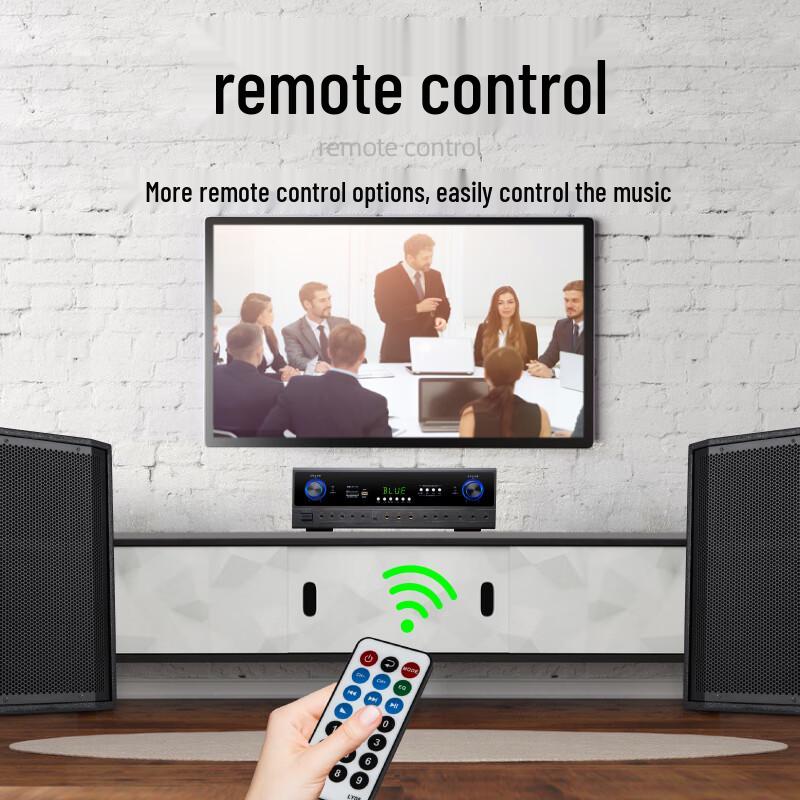 Ridiss AC210 Conference Room Audio System Set