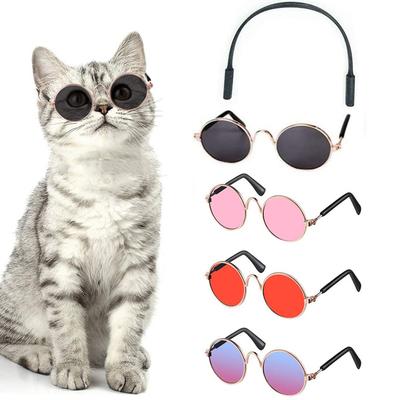 Gatos – Ropa