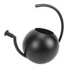 Watering Can, 1000ml Stainless Steel Indoor Plant Watering Pot with Comfortable Handle and   Spout, for   Garden Decor