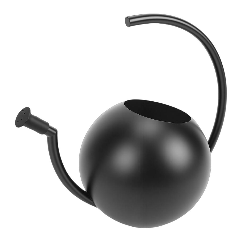 Watering Can, 1000ml Stainless Steel Indoor Plant Watering Pot with Comfortable Handle and Spout, for Garden Decor