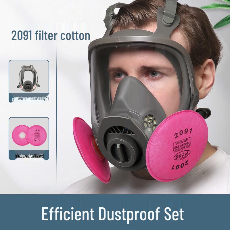 DAXTE Full-Face Silicone Respirator Mask