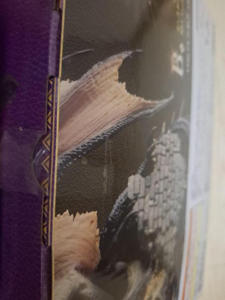 [USED] Monster Hunter 20th Anniversary No. 1 Lottery Miraboreas