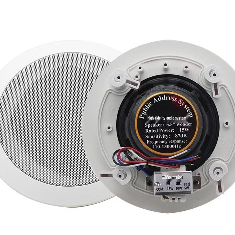 Brangdy Embedded Coaxial Ceiling Speaker