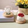 Mushroom Night Light DIY Kit - Birthday or Valentine’s Gift for Girlfriend