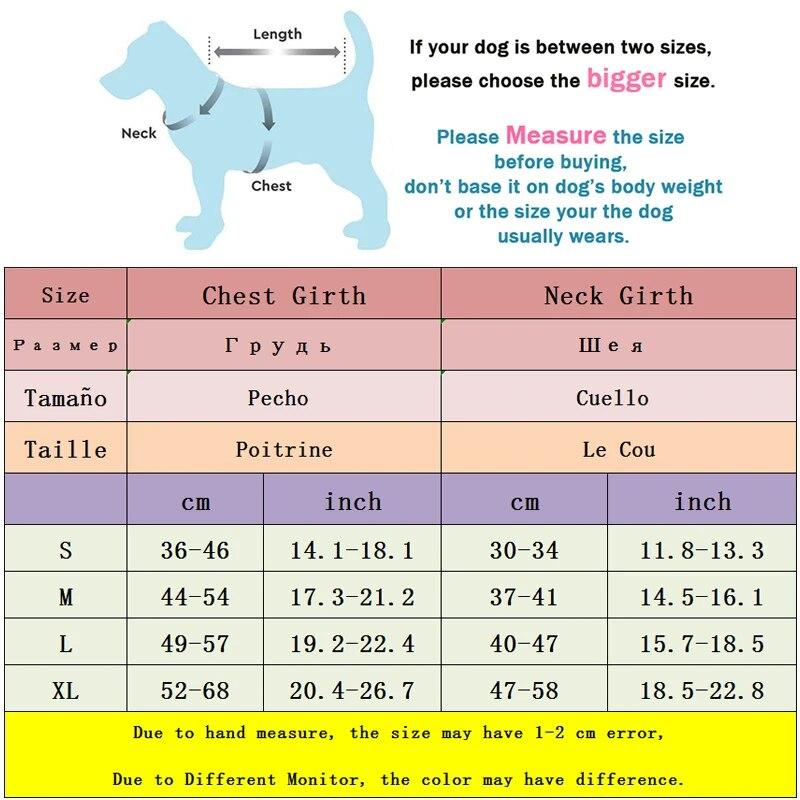 Hunde- und Katzengeschirr für kleine und mittelgroße Hunde, Geschirr- und Leinen-Set, atmungsaktive Welpenweste, Französische Bulldogge, Chihuahua, Brustgurt, Heimtierbedarf