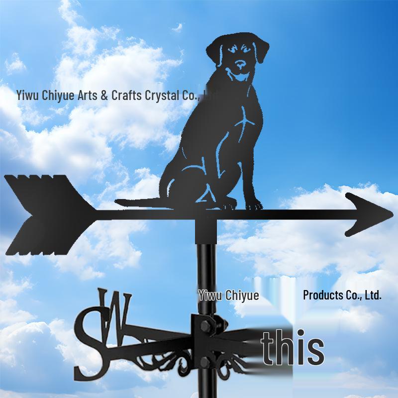 Weather Vane Ornament: Outdoor Wrought Iron Spray-Painted Roof Decoration Metal Craft