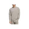 Adidas Beyond Solid Color Crewneck Sweatshirt Men Sweatshirt Gray JF4874