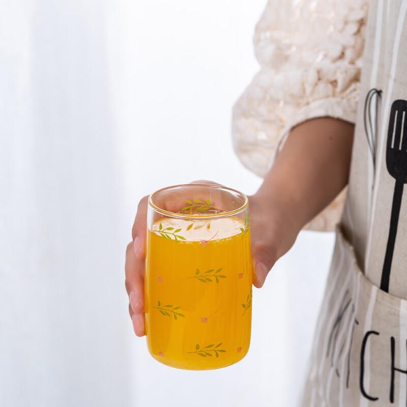 INS Style Heat-Resistant Borosilicate Glass Cup