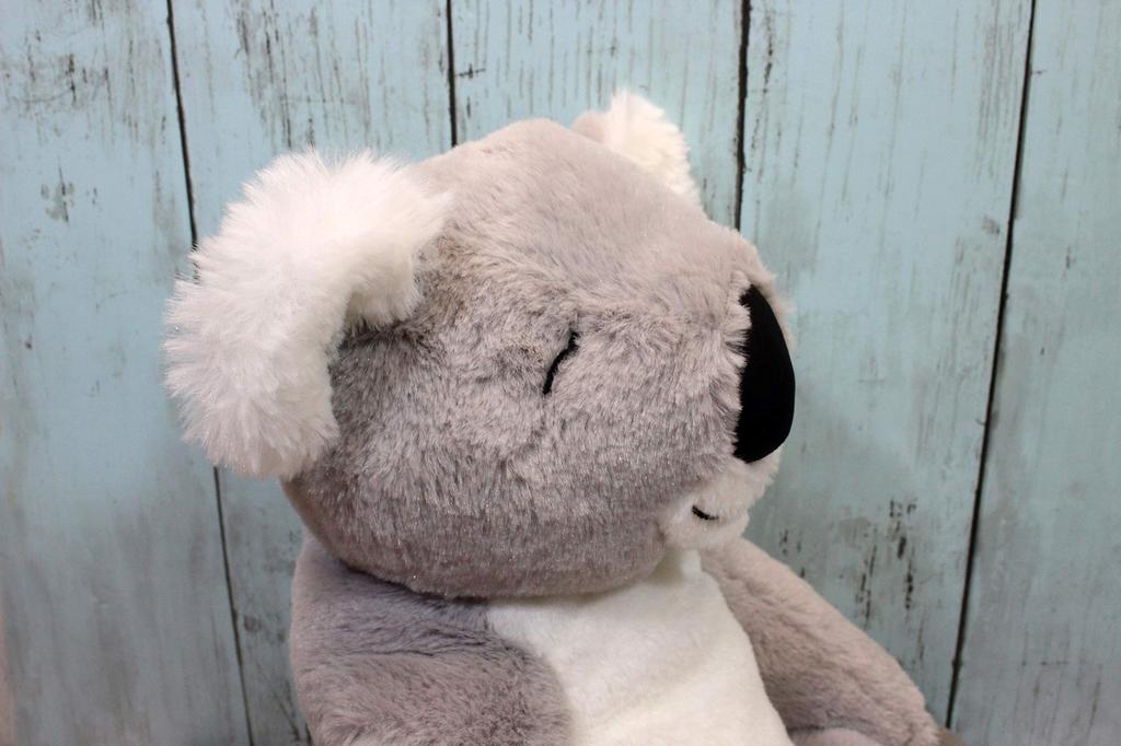 Shinada Withz Koala Plush 9 x 2 x Animal Toy, 15.5 cm, Merchandise, WZZK-0350