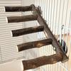Bird Toy Parrot Perch Ladder Grinding Stand for Cage Easy to Install X3UC