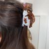 Creative Animal Hair Clip Cartoon Bird Shark Clip Creative Acetate Hair Claw Travel