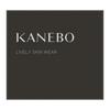 Kanebo Lively Skin Wear Ocher C 1 Piece (x 1)