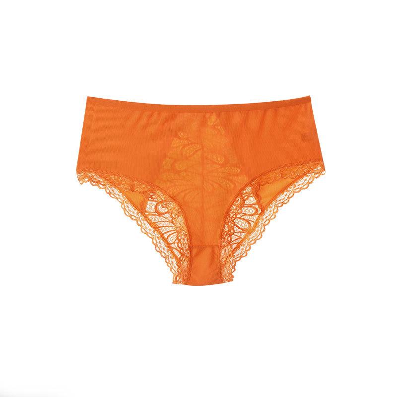 Women's Summer New Lace Lace Hollow Out Cotton Comfortable Breathable Low-waisted Briefs