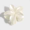 2/4Pcs Beige Flower Hair Clips for Women Egg Flower Shark Clip Ponytail Hairpins Bohemia Beach Style Hair Accessories