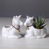 Gardening Simple White Porcelain Cartoon Small Succulent Flower Pot Ceramic Creative Unicorn Desktop Potted Flower Device