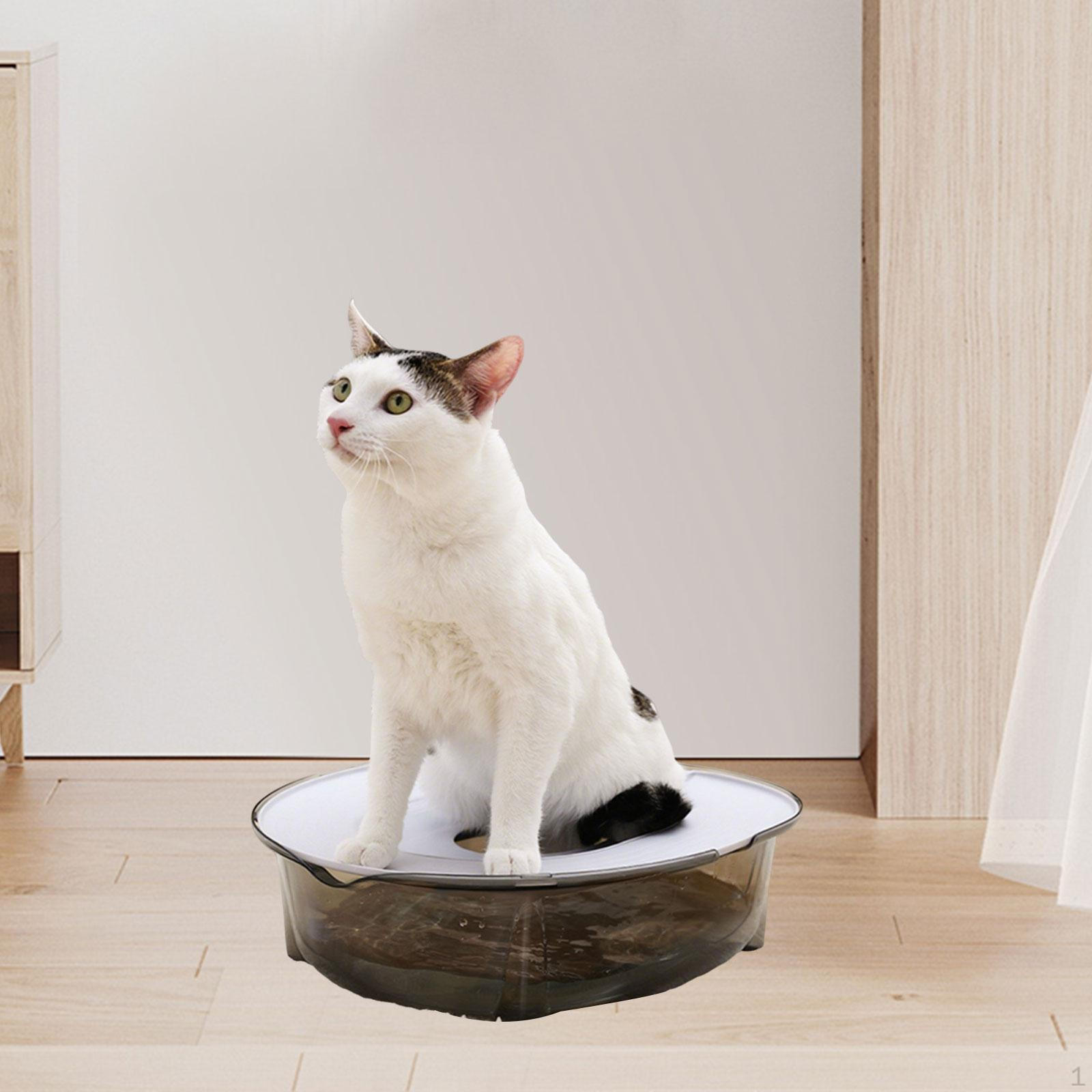 

Accessories for Cat Litter Box Training: Removable, High-quality, Portable And Washable Cleaning Mat Gray