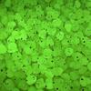 10-30Pcs Mini Fluorescence Chicken Moss Toy Microlandscape Miniature Chick Figurines Fairy Garden Accessories Home Decor Crafts