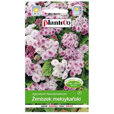 Mexican Pink Ginseng Flower Seeds for the Garden