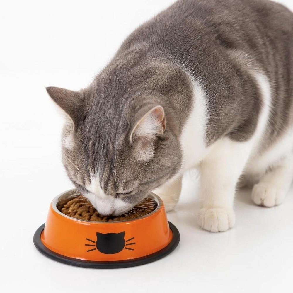 Non-slip Base Anti-dumping Cat Bowl Stainless Steel Dog Bowl Durable Steel Pet Bowl dog