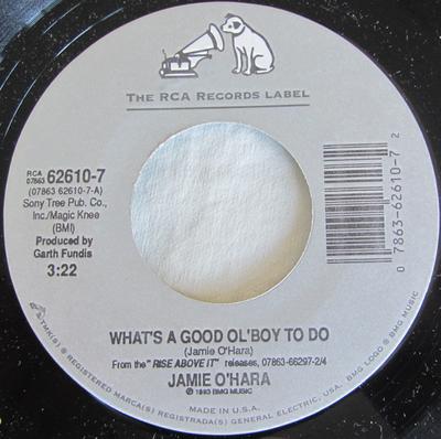 7-Zoll Schallplatte JAMIE O'HARA - What's A Good Ol' Boy To Do 07863626107 RCA 1993 US Rock Gebraucht
