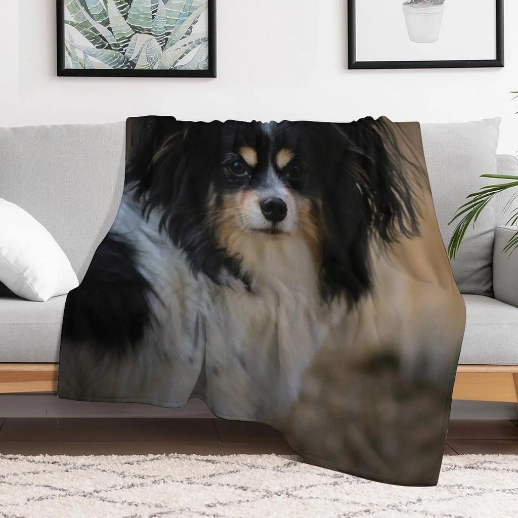 Papillon dog Throw Blanket Stylish Couch Blanket for Home Living Room