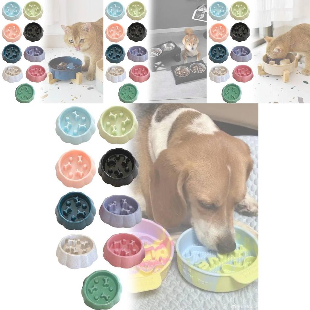 Pet Care Slow Eating Bowl For Small Dogs And Cats With Durable Pp Material